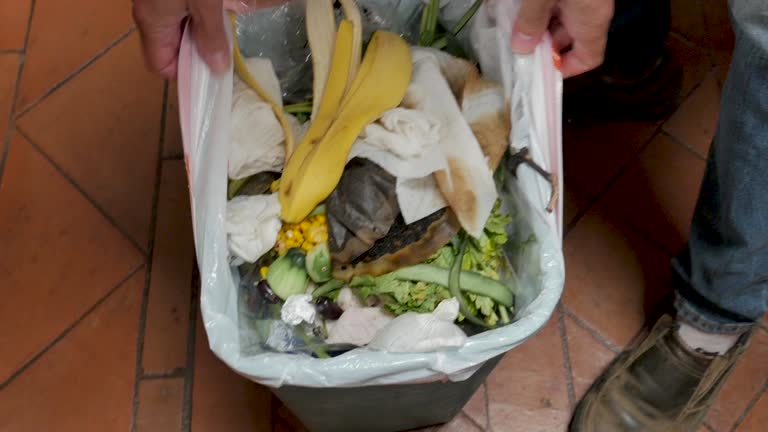 Best Hoarding Cleanup  in Difficult Run, VA